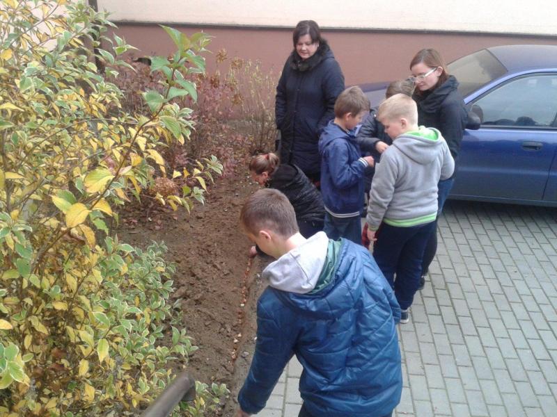 Międzynarodowy projekt „Krokus”