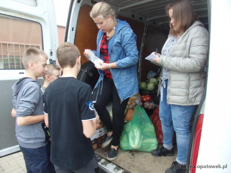 Zbiórka owoców i warzyw