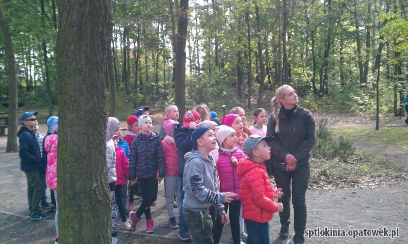 Zajęcia edukacyjne w lesie