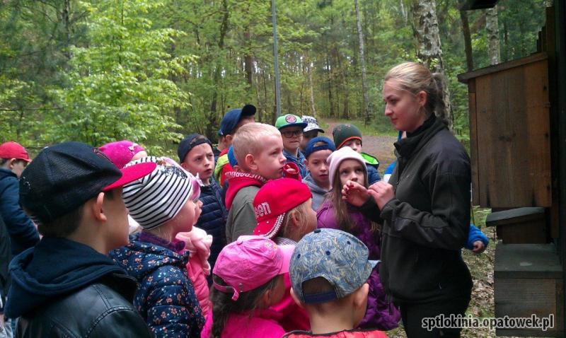 Zajęcia edukacyjne w lesie