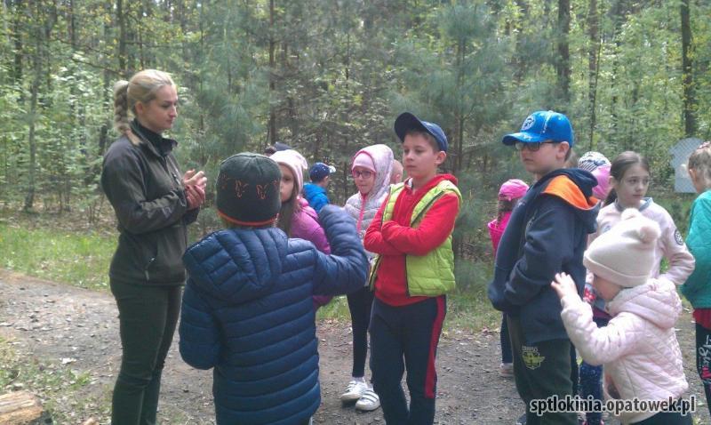 Zajęcia edukacyjne w lesie