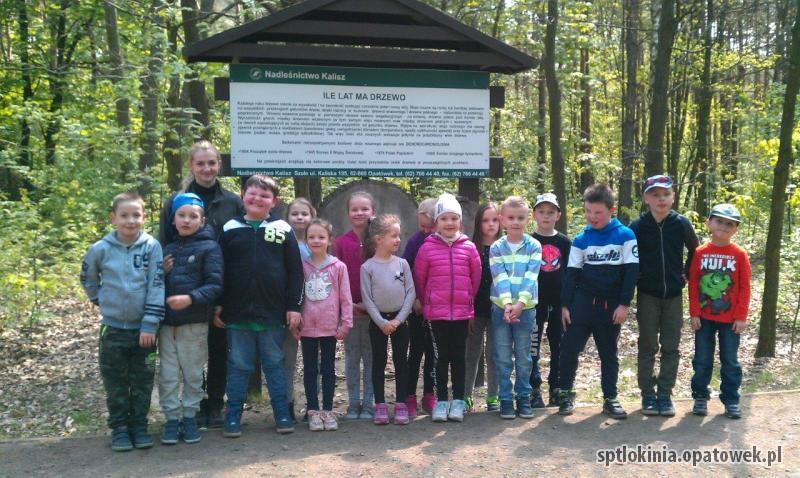 Zajęcia edukacyjne w lesie