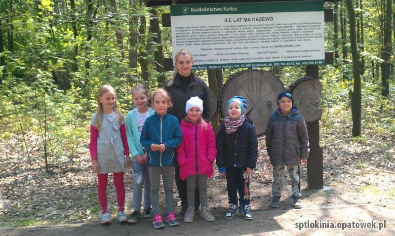 Zajęcia edukacyjne w lesie