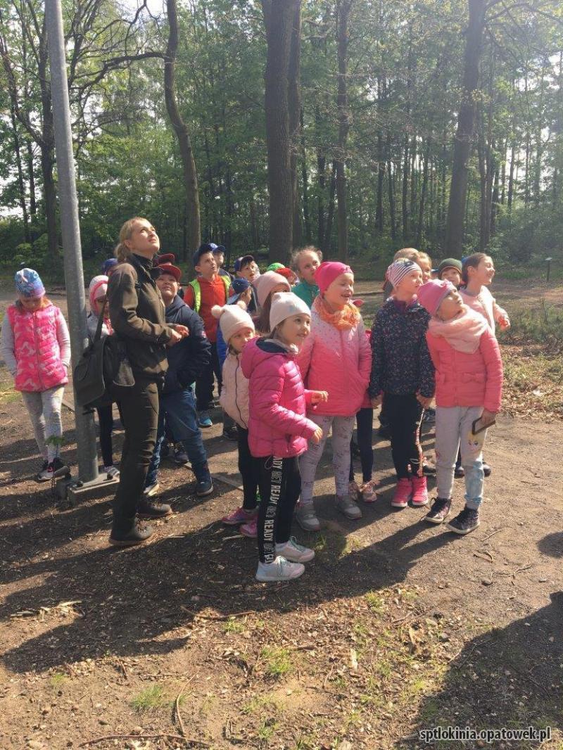 Zajęcia edukacyjne w lesie