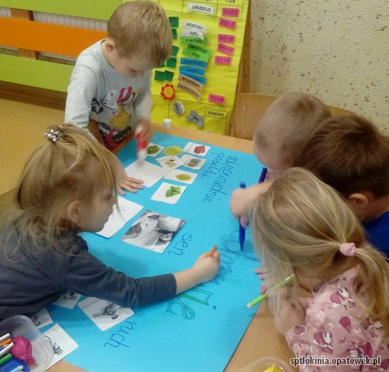 Dbamy o zdrowie z Małym Misiem - Europejski dzień zdrowego jedzenia i gotowania