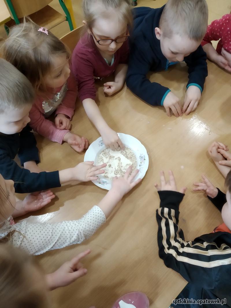 Misiowe laboratorium czterech żywiołów