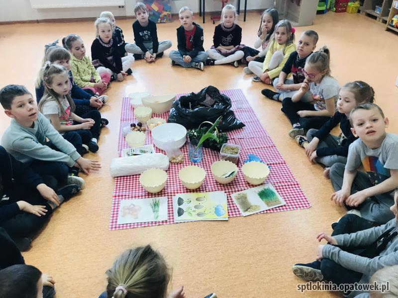 Zakładamy wiosenną hodowlę roślin