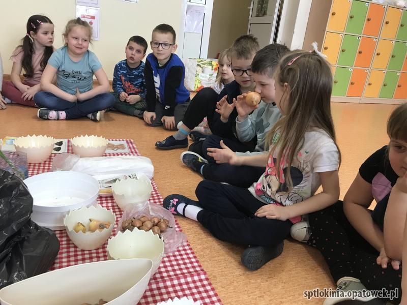 Zakładamy wiosenną hodowlę roślin