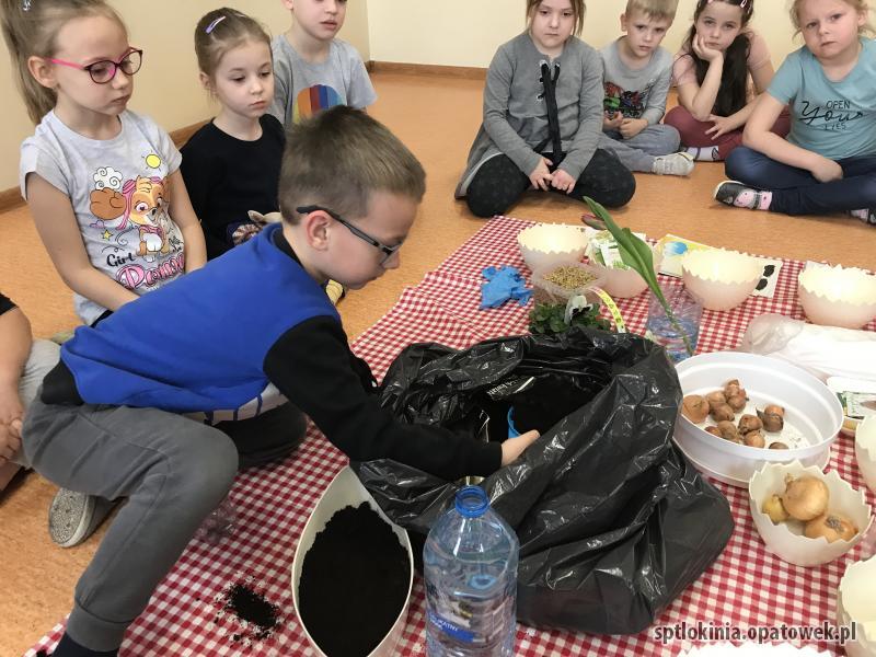 Zakładamy wiosenną hodowlę roślin