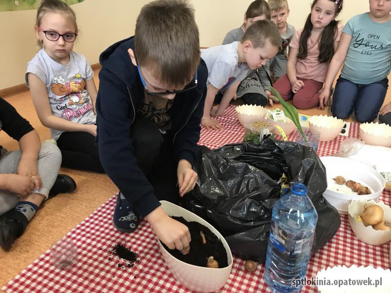 Zakładamy wiosenną hodowlę roślin