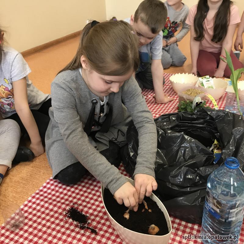 Zakładamy wiosenną hodowlę roślin