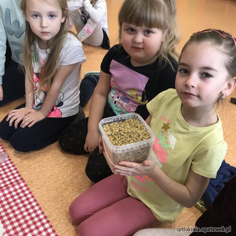 Zakładamy wiosenną hodowlę roślin