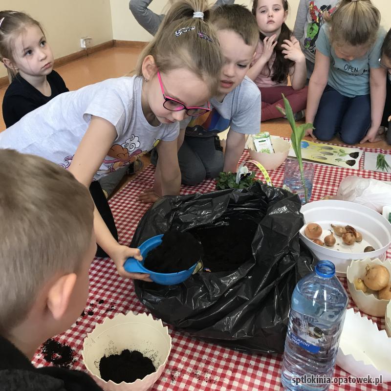 Zakładamy wiosenną hodowlę roślin