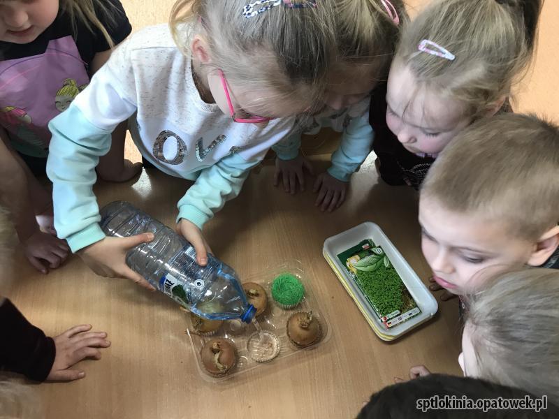 Zakładamy wiosenną hodowlę roślin