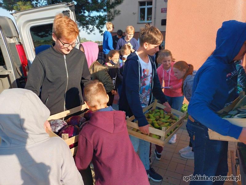 ZBIÓRKA OWOCÓW I WARZYW