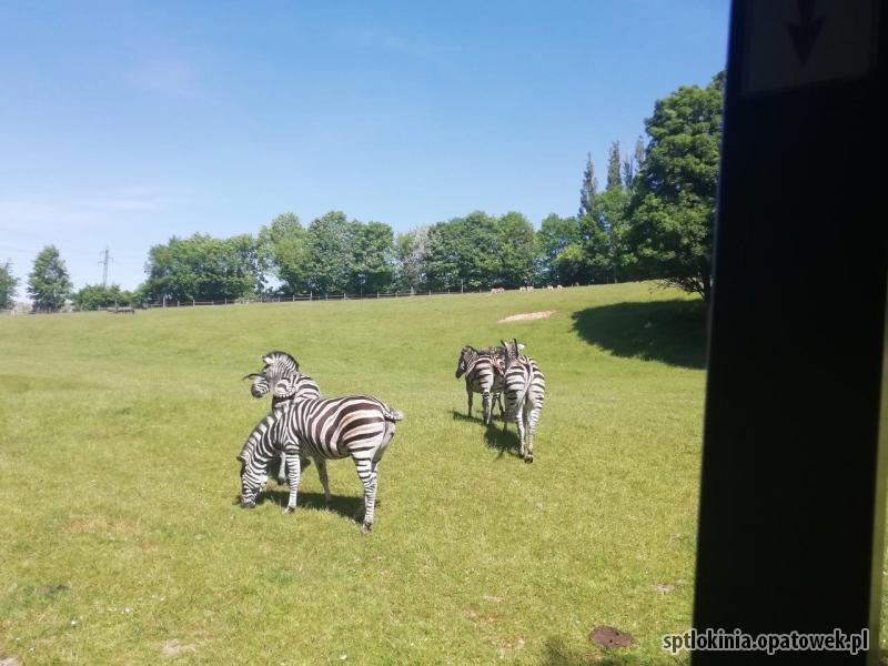 Wycieczka do naszych południowych sąsiadów