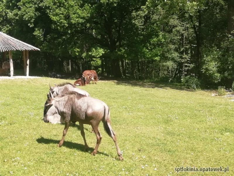 Wycieczka do naszych południowych sąsiadów